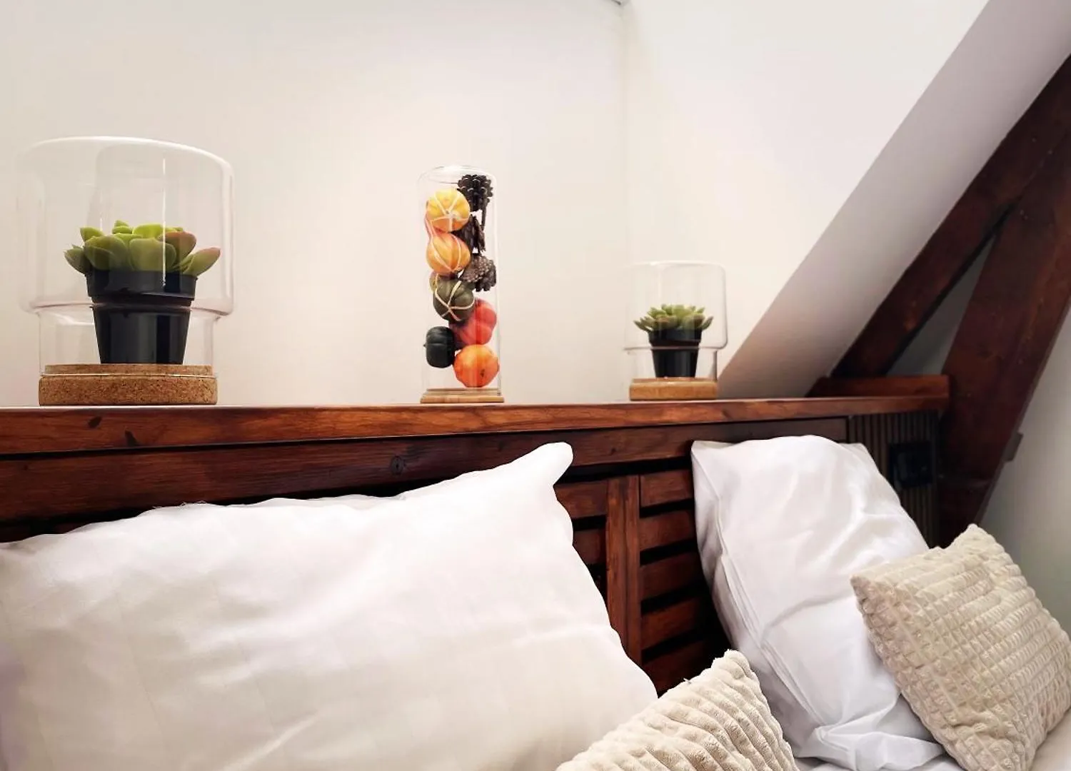 Hotel Plantage - Digital Access Amsterdam