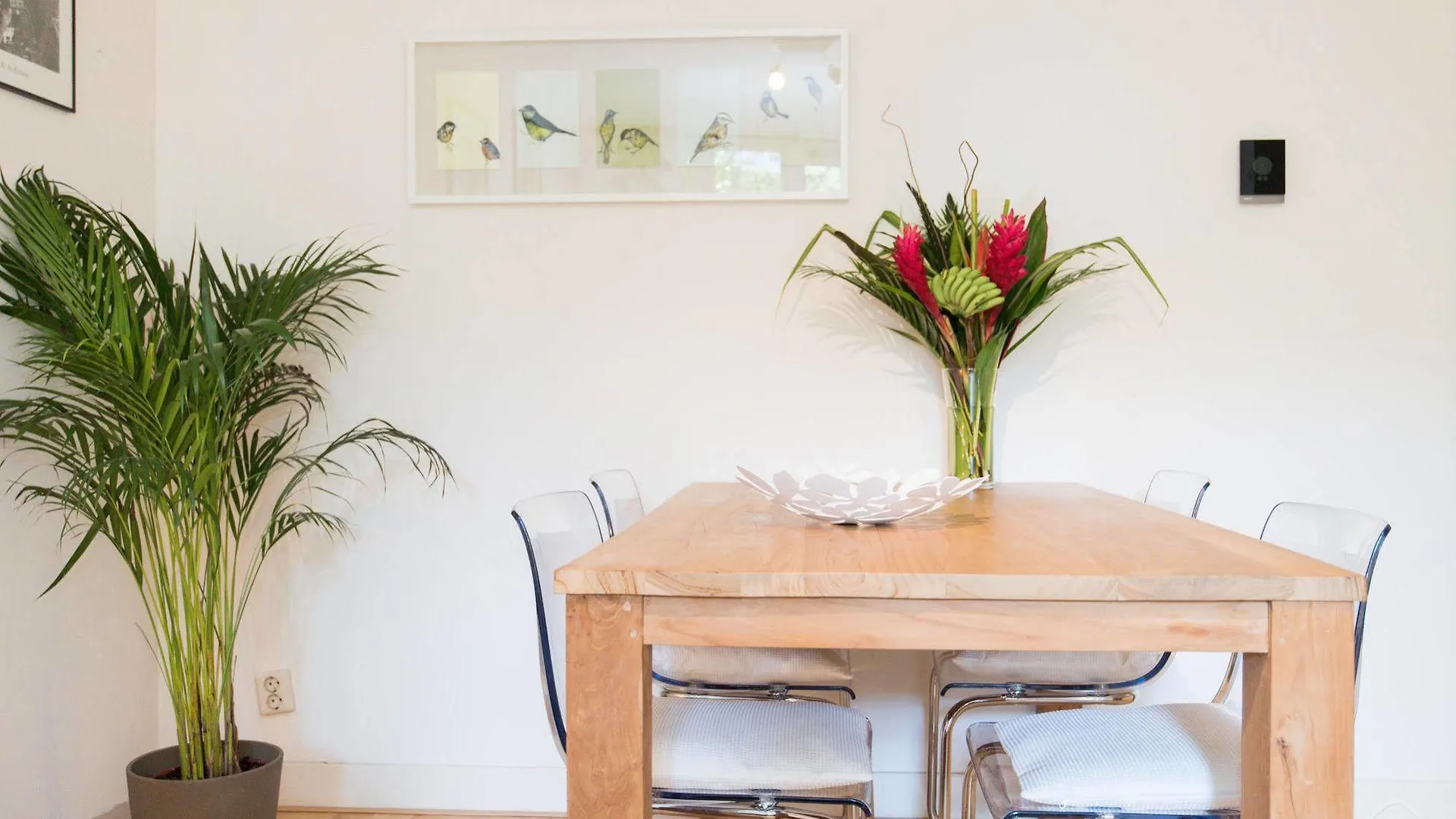 Hotel Plantage - Digital Access Amsterdam